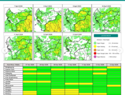Prakiraan Cuaca Kalimantan Barat Selasa 7 April 2026: Waspada Hujan Sedang dan Angin Kencang