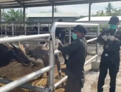 Antisipasi Lonjakan Pengiriman, Barantin Berlakukan Biosekuriti Ketat untuk Hewan Kurban