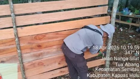 Personel kepolisian Polsek Semitau saat melakukan pembongkaran dan pembakaran material kelang arena sabung ayam di Desa Sekedau.
