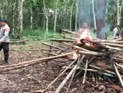 Polisi Bongkar Arena Judi Sabung Ayam di Kapuas Hulu