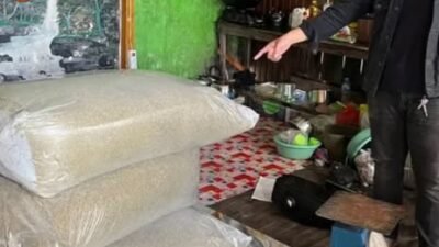 Aparat kepolisian menunjukkan tumpukan karung berisi ratusan kilogram remahan daun kratom hasil curian yang berhasil disita dari tangan pelaku.