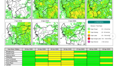 Grafis prakiraan potensi hujan harian di wilayah Kalimantan Barat untuk periode 3 hingga 9 April 2026. (Dok. BMKG Kalbar)