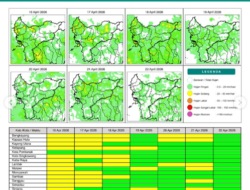 Prakiraan Cuaca Kalimantan Barat: 10 Kabupaten/Kota Berpotensi Diguyur Hujan Sedang
