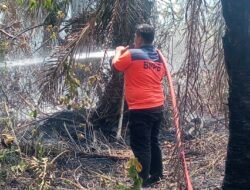 Bakar Sampah Siang Bolong, Dua Hektare Lahan Gambut di Langsa Hangus Terbakar