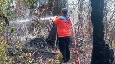 Upaya petugas pemadam kebakaran dan BPBD Kota Langsa saat berjibaku menjinakkan kobaran api yang menghanguskan dua hektare kawasan lahan gambut.