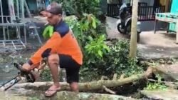 "Update bencana Indonesia per 4 April 2026: Cuaca ekstrem landa NTB, Kalsel, dan Sulteng. BNPB imbau warga waspada pohon tumbang dan banjir saat pancaroba."