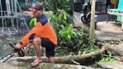 "Update bencana Indonesia per 4 April 2026: Cuaca ekstrem landa NTB, Kalsel, dan Sulteng. BNPB imbau warga waspada pohon tumbang dan banjir saat pancaroba."