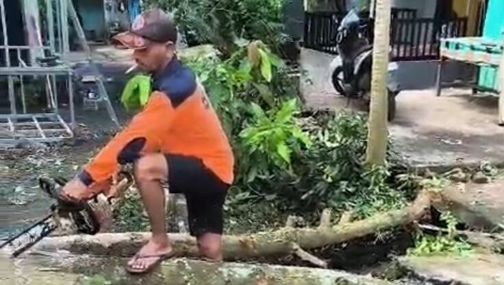 "Update bencana Indonesia per 4 April 2026: Cuaca ekstrem landa NTB, Kalsel, dan Sulteng. BNPB imbau warga waspada pohon tumbang dan banjir saat pancaroba."