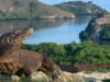 Taman Nasional Komodo Jadi Tempat Terindah Kedua Dunia