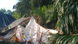 Satu orang tewas dan delapan luka-luka setelah pohon tumbang menimpa tenda pengantin di Bone, Sulawesi Selatan akibat angin kencang. (Dok: HO/Faktakalbar.id)