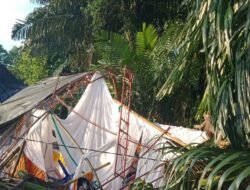 Pohon Tumbang Timpa Tenda Pengantin di Bone, Satu Orang Meninggal