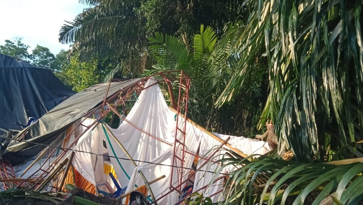 Satu orang tewas dan delapan luka-luka setelah pohon tumbang menimpa tenda pengantin di Bone, Sulawesi Selatan akibat angin kencang. (Dok: HO/Faktakalbar.id)