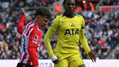 Hasil Sunderland vs Tottenham: Skor 1-0