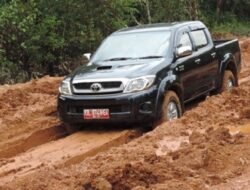 Bocil Disuruh Nge-roasting Gubernur Kalbar, Bupatinya yang Kena Getah