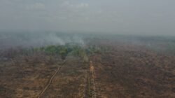 WALHI mencatat 11.189 titik panas selama Maret 2026. Sebanyak 1.351 karhutla di konsesi perusahaan menjadi sorotan terkait lemahnya penegakan hukum.