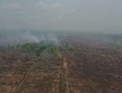 WALHI Soroti Belasan Ribu Titik Panas, 1.351 Karhutla Berada di Konsesi Perusahaan