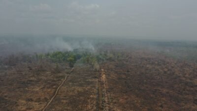 WALHI mencatat 11.189 titik panas selama Maret 2026. Sebanyak 1.351 karhutla di konsesi perusahaan menjadi sorotan terkait lemahnya penegakan hukum.