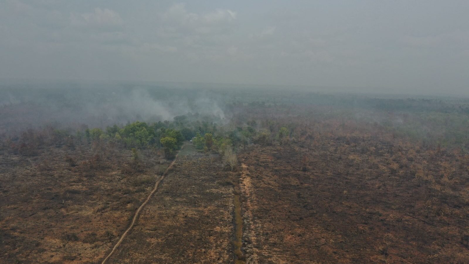 WALHI mencatat 11.189 titik panas selama Maret 2026. Sebanyak 1.351 karhutla di konsesi perusahaan menjadi sorotan terkait lemahnya penegakan hukum.