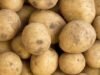 5 Fakta Unik Soal Kentang yang Bikin Kamu Makin Doyan Makan Umbi Ini