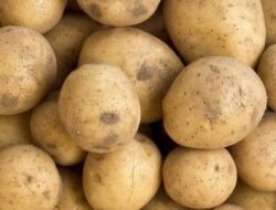 5 Fakta Unik Soal Kentang yang Bikin Kamu Makin Doyan Makan Umbi Ini