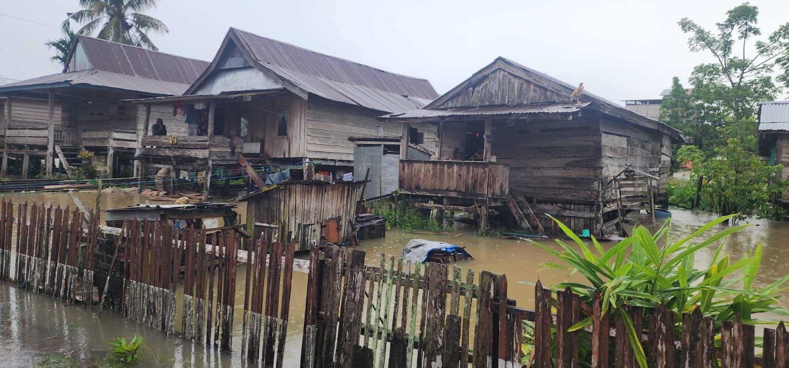 Bencana banjir di Kabupaten Bone merendam lima kecamatan dan menelan dua korban jiwa usai hujan deras mengguyur wilayah tersebut selama dua hari berturut-turut.