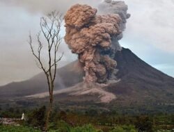 Duka di Puncak Dukono: Dua Tewas dan Puluhan Terjebak, BNPB Soroti Dugaan Kelalaian Pendaki