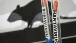 Kementerian Kesehatan mengimbau masyarakat untuk mewaspadai penularan infeksi hantavirus yang bersumber dari kotoran atau sekresi hewan pengerat seperti tikus.Kementerian Kesehatan mengimbau masyarakat untuk mewaspadai penularan infeksi hantavirus yang bersumber dari kotoran atau sekresi hewan pengerat seperti tikus.