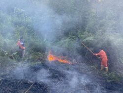 Karhutla Landa Nunukan Selatan, Puluhan Hektare Lahan Hangus Terbakar