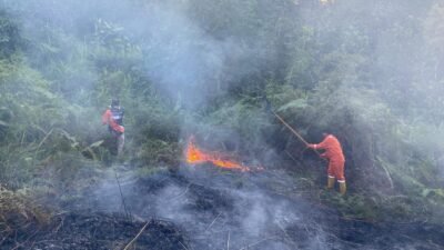 Petugas gabungan berupaya memadamkan kebakaran hutan yang terjadi di Desa Tanjung Harapan, Kecamatan Nunukan Selatan, Kabupaten Nunukan, Provinsi Kalimantan Utara, Kamis (7/5). Sumber Foto: BPBD Kabupaten Nunukan