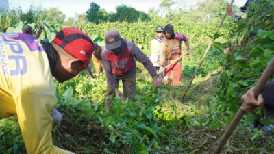 Aksi gotong royong membersihkan lingkungan di kawasan Jalan Budi Karya. (Dok. HO/Faktakalbar.id)