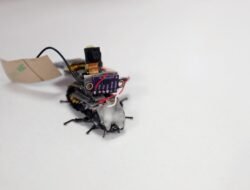 Robot Kecoa hingga MPASI Darurat: BNPB Gandeng Undip Perkuat Teknologi Kebencanaan