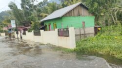 Kondisi banjir yang menggenangi permukiman dan lahan persawahan warga di Kecamatan Soyo Jaya, Kabupaten Morowali Utara, Provinsi Sulawesi Tengah, pada Senin (4/5). (Dok. BPBD Kabupaten Morowali Utara)