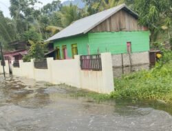 Banjir di Morowali Utara Rendam Puluhan Rumah dan Belasan Hektar Sawah Warga