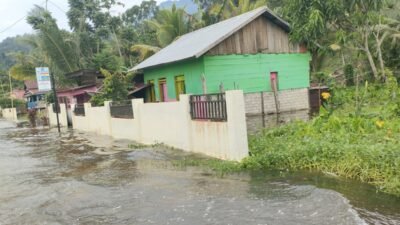 Kondisi banjir yang menggenangi permukiman dan lahan persawahan warga di Kecamatan Soyo Jaya, Kabupaten Morowali Utara, Provinsi Sulawesi Tengah, pada Senin (4/5). (Dok. BPBD Kabupaten Morowali Utara)
