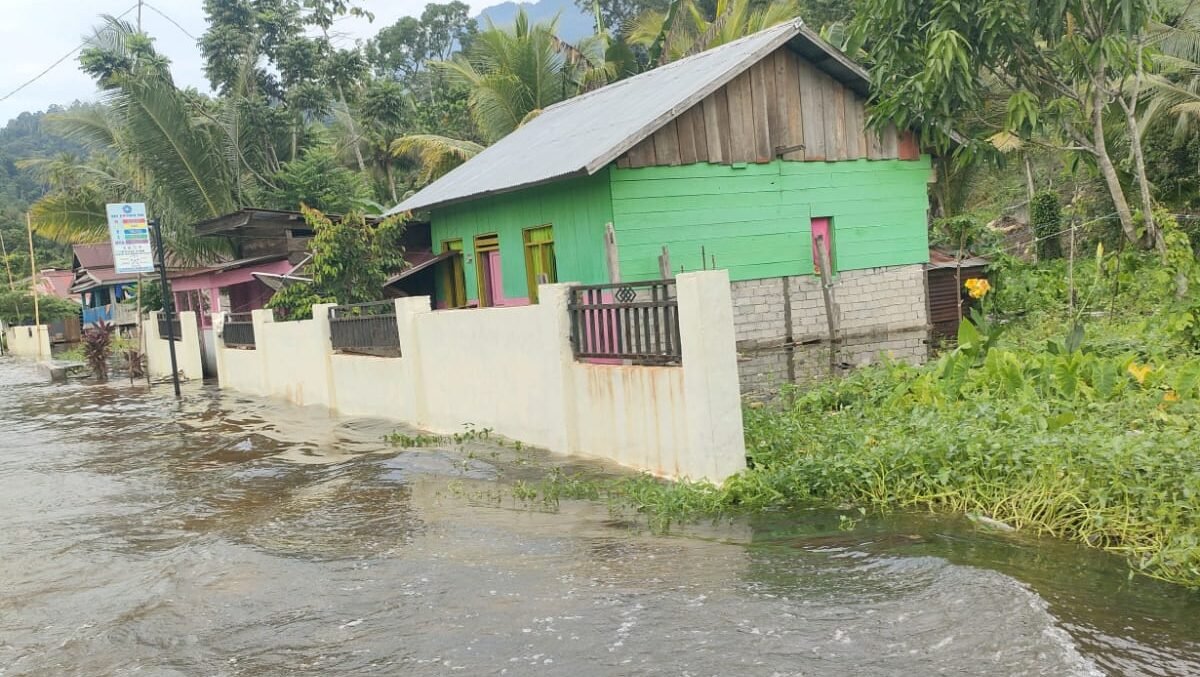 Kondisi banjir yang menggenangi permukiman dan lahan persawahan warga di Kecamatan Soyo Jaya, Kabupaten Morowali Utara, Provinsi Sulawesi Tengah, pada Senin (4/5). (Dok. BPBD Kabupaten Morowali Utara)