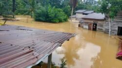 Banjir yang merendam pemukiman warga di Desa Meranti, Kabupaten Landak, akibat cuaca ekstrem.