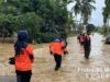Hujan Deras Hulu Sungai Picu Banjir Kabupaten Luwu Rendam Sawah dan Jalan Trans Sulawesi