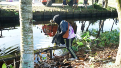 DLH Kota Pontianak bersama warga setempat menggelar aksi bersih parit di Pontianak Utara sepanjang 500 meter guna menjaga fungsi sistem drainase kota.