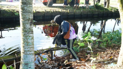 DLH Kota Pontianak bersama warga setempat menggelar aksi bersih parit di Pontianak Utara sepanjang 500 meter guna menjaga fungsi sistem drainase kota.