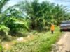 Sungai Meluap Tim BPBD Pantau Intensif Ketinggian Air Banjir di Luwu Timur