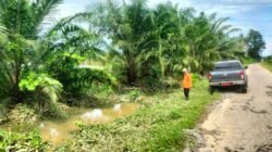 Tim BPBD Kabupaten Luwu Timur melakukan pemantauan tinggi muka air di kawasan permukiman dan lahan pertanian yang terendam luapan sungai di Desa Balo-Balo.