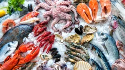 Hindari gangguan lambung dengan memperhatikan daftar pantangan kombinasi dengan seafood yang tepat.