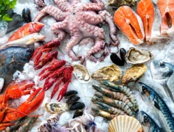 Jangan Asal Makan Ini Tujuh Pantangan Kombinasi dengan Seafood