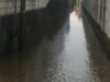 Curah Hujan Tinggi Picu Bencana Banjir di Kotawaringin Timur Ratusan Warga Terdampak
