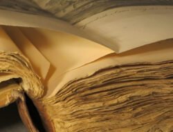 Jangan Dibuang! Ini Cara Menyelamatkan Buku Berjamur