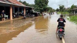 Kondisi akses jalan dan permukiman warga yang terendam genangan air menyusul luapan sungai di kawasan dataran rendah Kabupaten Sanggau.