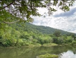 Ribuan Pengunjung Padati Destinasi Ekowisata Bukit Luit dan Rentap Sintang Selama April 2026