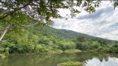 Hutan Lindung Bukit Luit dan Rentap di Sintang kini menjadi destinasi ekowisata populer dengan ribuan pengunjung yang menawarkan pesona alam serta budaya.