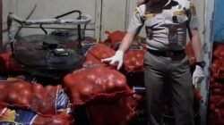 Petugas gabungan Karantina dan Polda Kalbar mengamankan puluhan ton komoditas pangan tanpa izin di sebuah gudang kawasan Pontianak Barat.