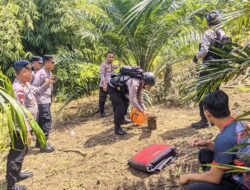 Tim Gegana Brimob Polda Kalbar Lakukan Pemusnahan Granat di Landak